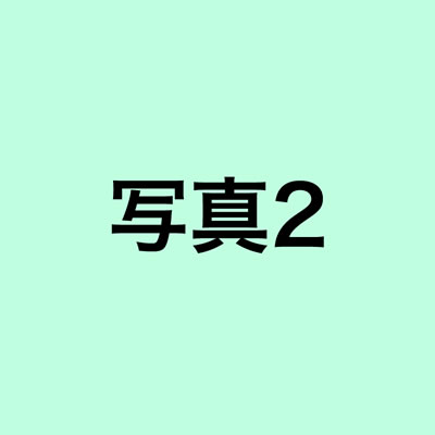 岡恒京型　小　D-55H