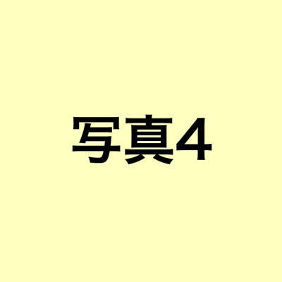 岡恒京型　小　D-55H